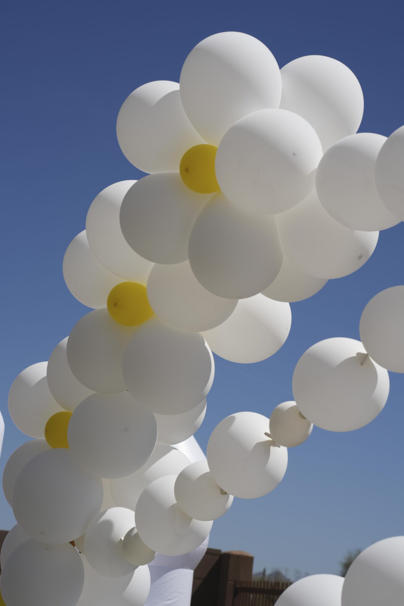 Balloon arch at a Highlands, North Carolina event